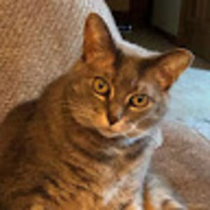 Meet your Posher, Ann